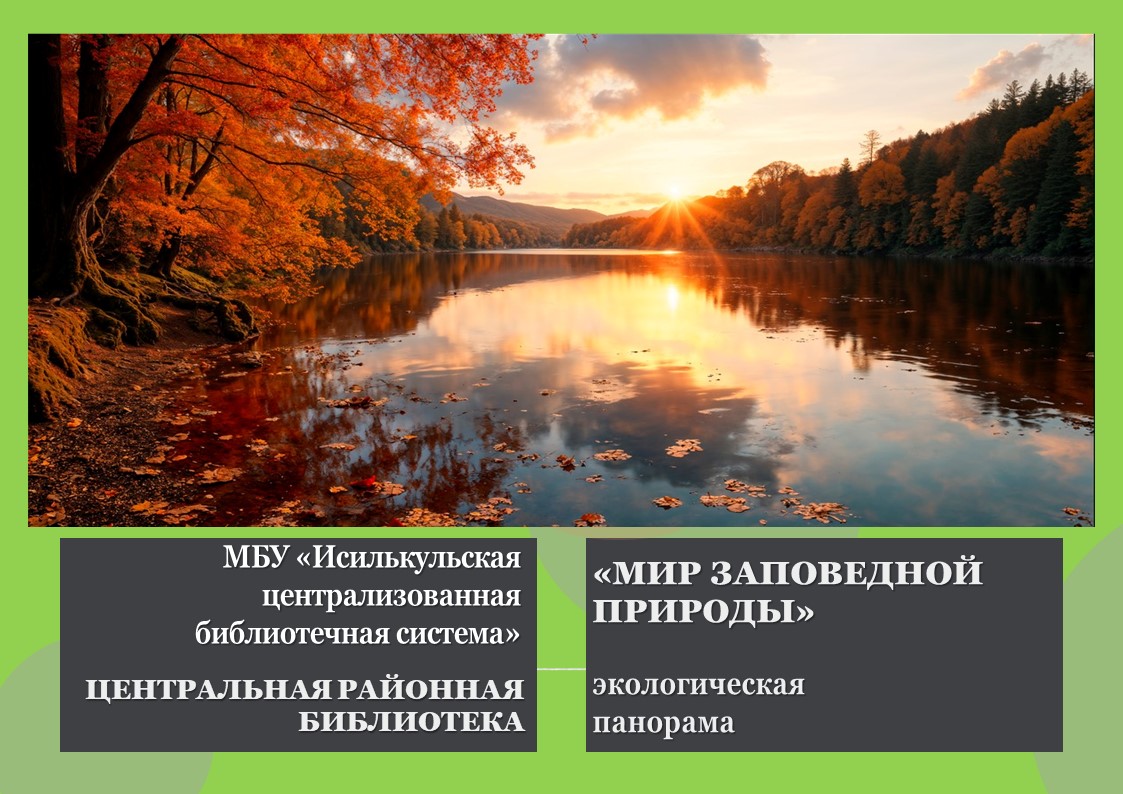 Read more about the article Экологическая панорама “Мир заповедной природы”